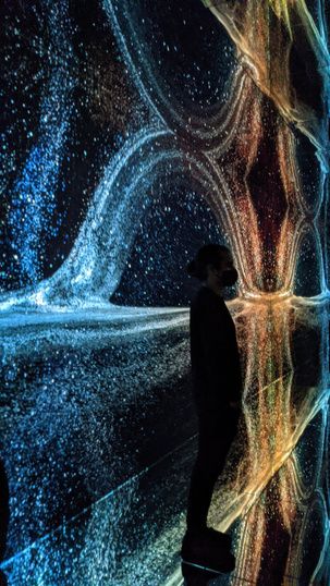 NXT Museum immersive art installation